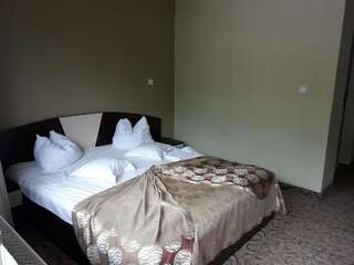 Отель Hotel Iri Буштени Двухместный номер с 1 кроватью или 2 отдельными кроватями, вид на горы-8