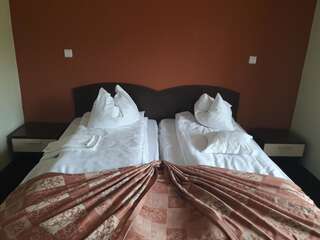 Отель Hotel Iri Буштени Двухместный номер с 1 кроватью или 2 отдельными кроватями, вид на горы-9